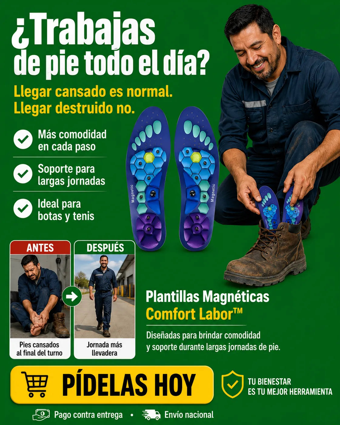 plantilla